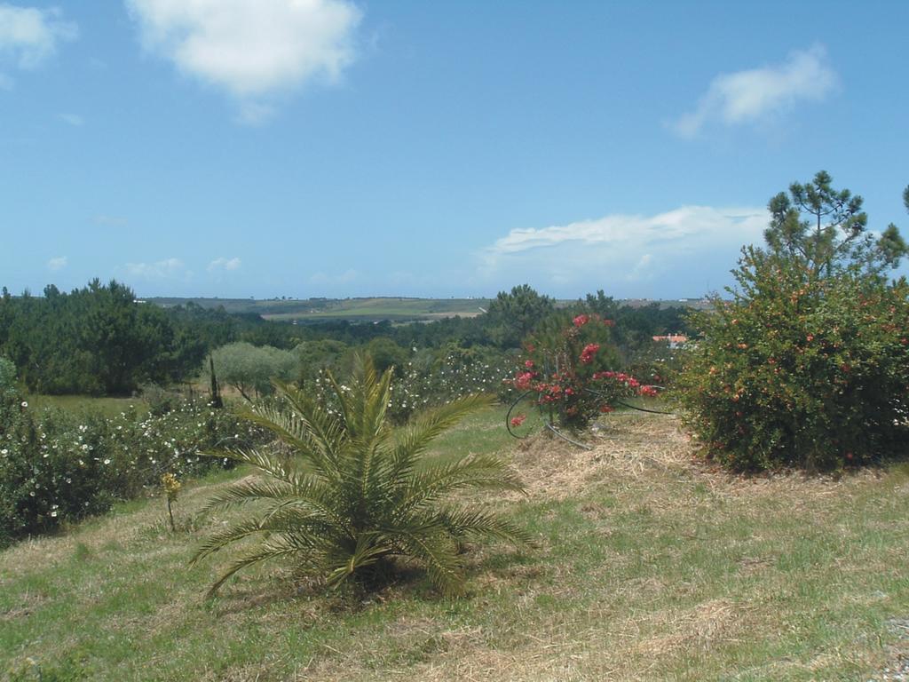 Villa Monte Da Xara Aljezur Exterior foto